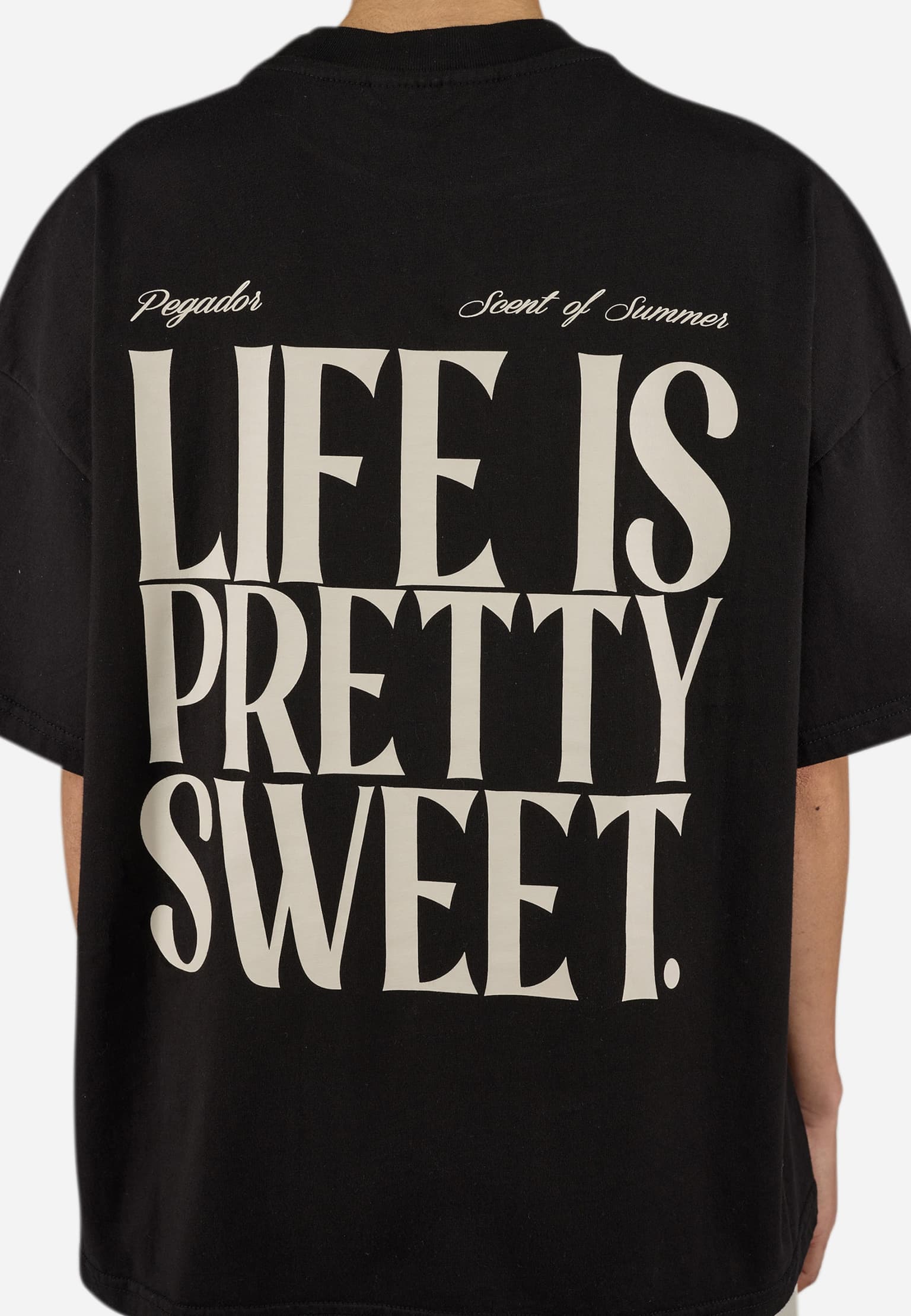 PEGADOR Tinca Heavy Oversized Tee – Bild 4