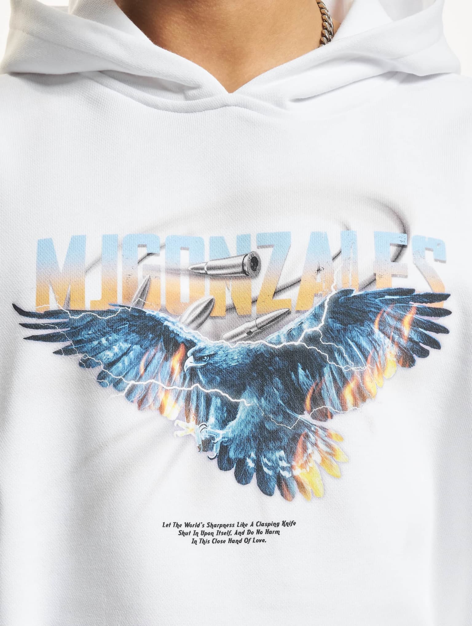 MJ Gonzales EAGLE V.2 Heavy Hoody Oversized Essentials V.4 – Bild 4