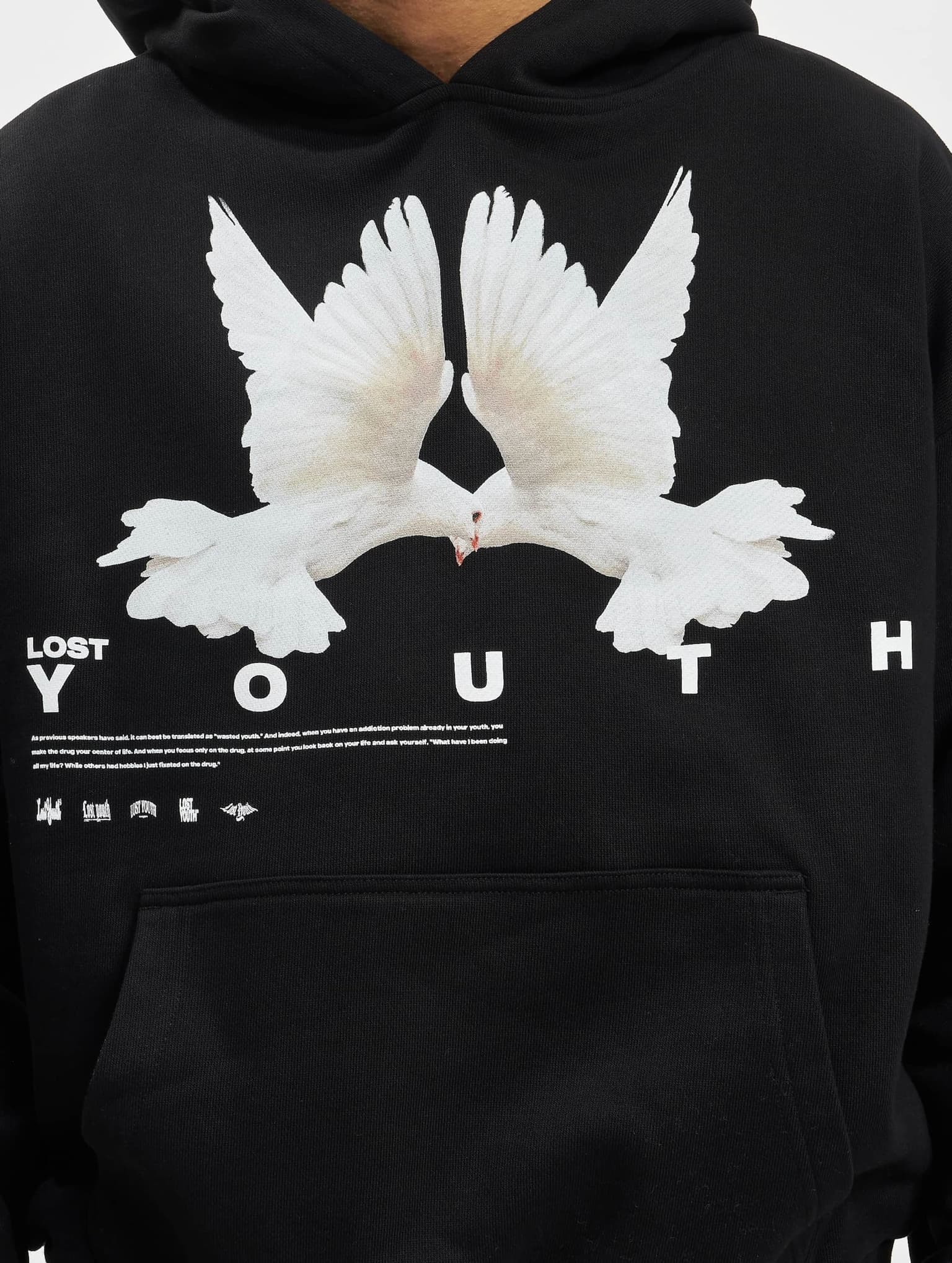 Lost Youth LY HOODIE DOVE – Bild 4