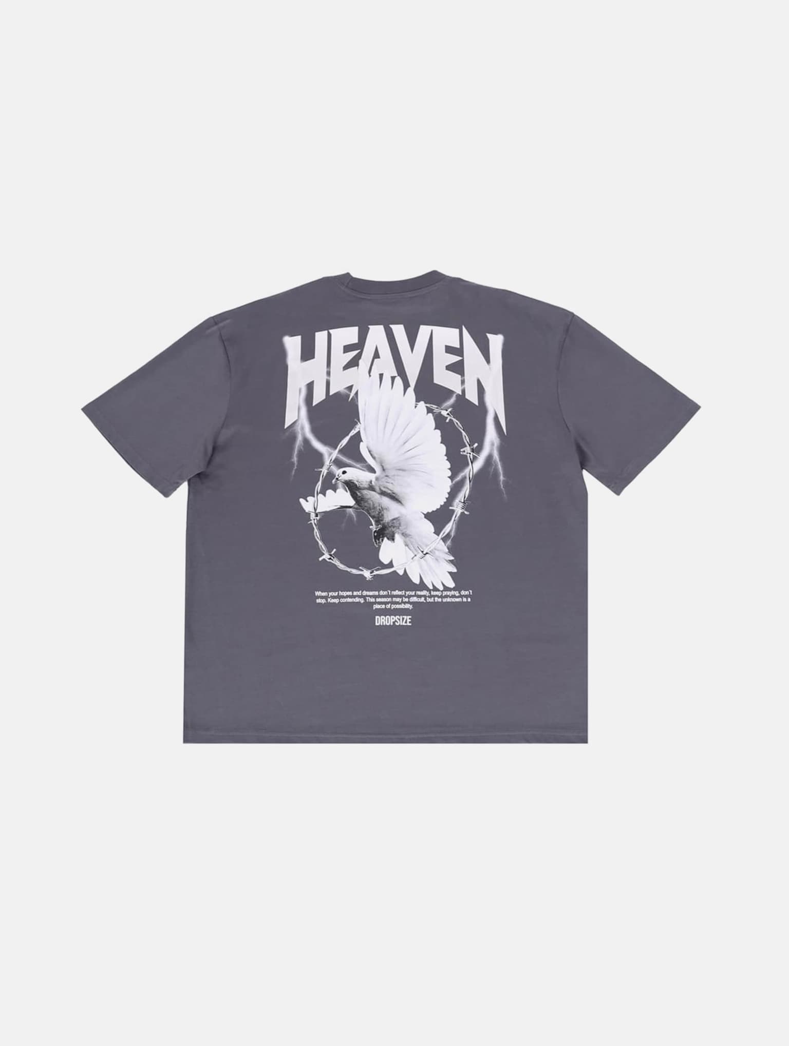 Dropsize HEAVY OVERSIZED HEAVEN DOVE T-SHIRT – Bild 2