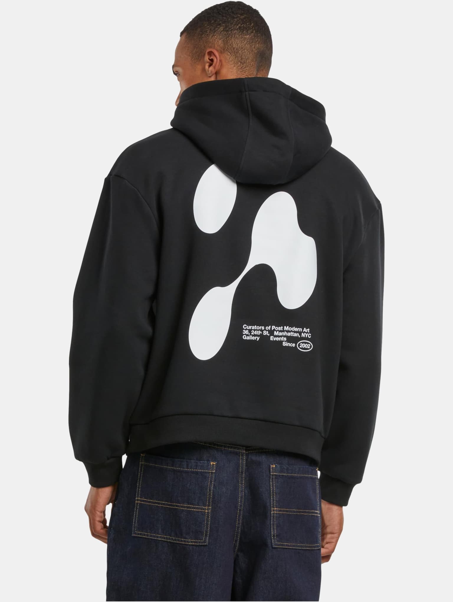 Mister Tee Upscale Theory Of Anomaly Fluffy Hoody – Bild 2