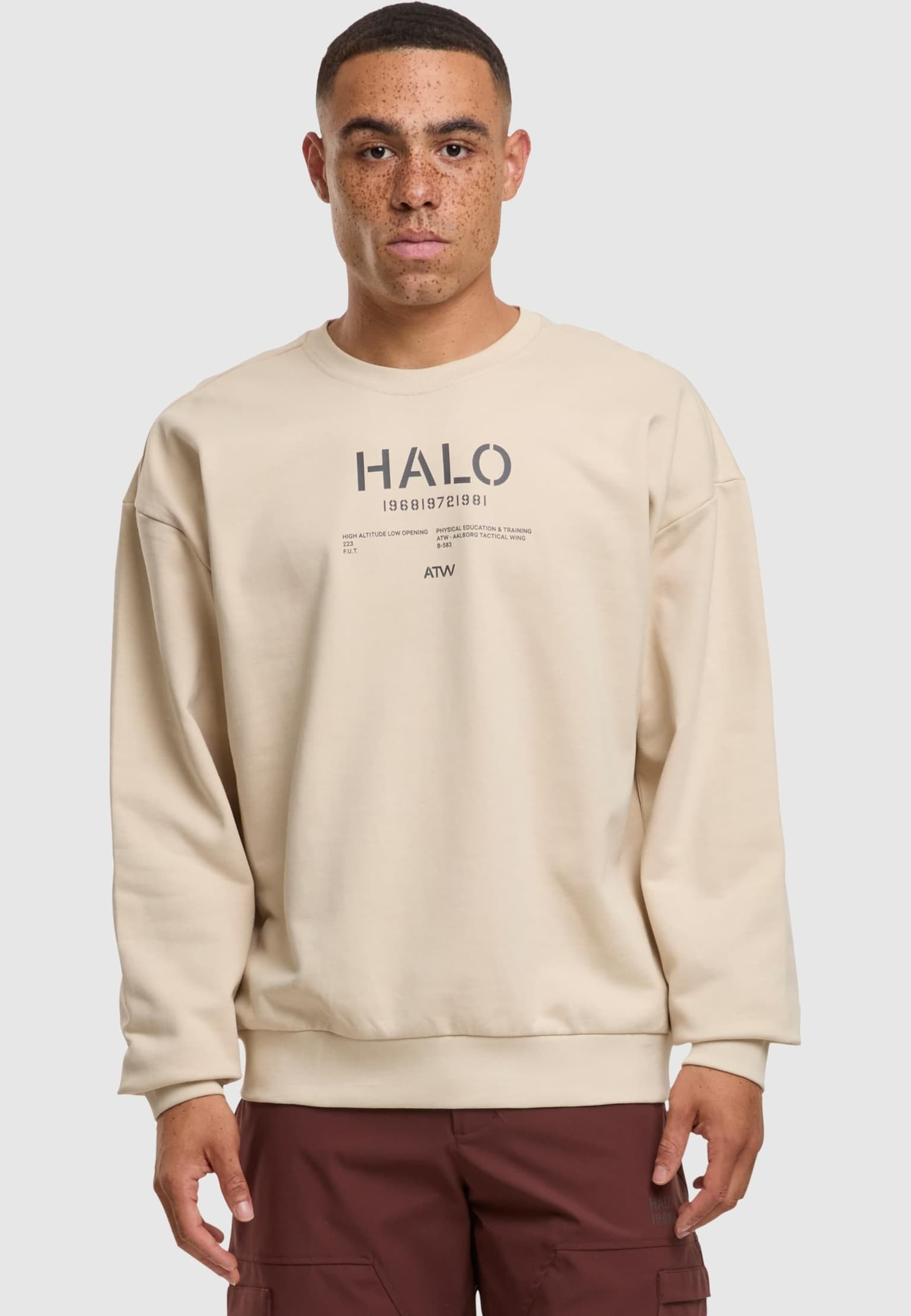 HALO GRAPHIC BOXY CREW