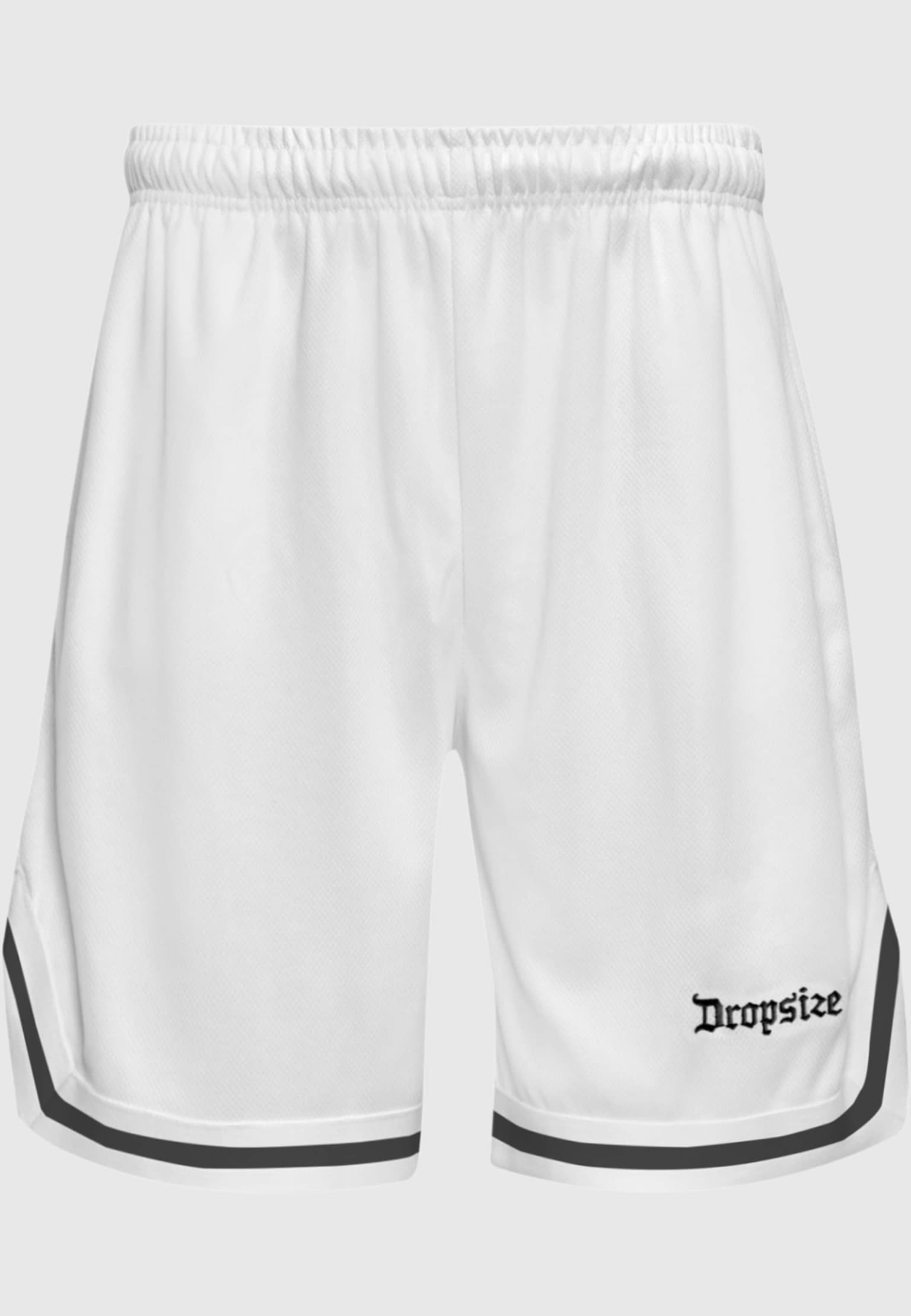 Dropsize Logo Mesh Short – Bild 2