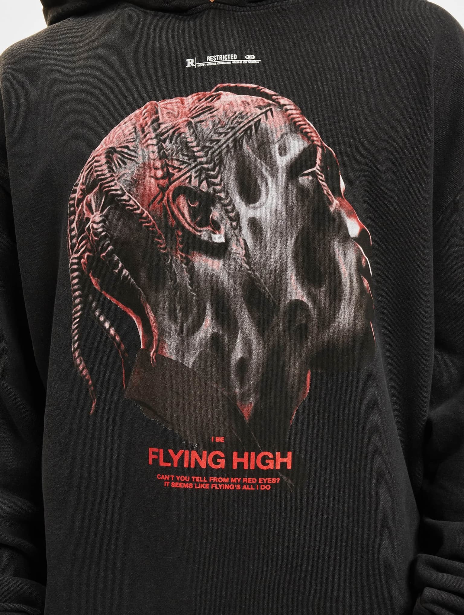Mister Tee Upscale Flying High Oversize Hoody – Bild 4