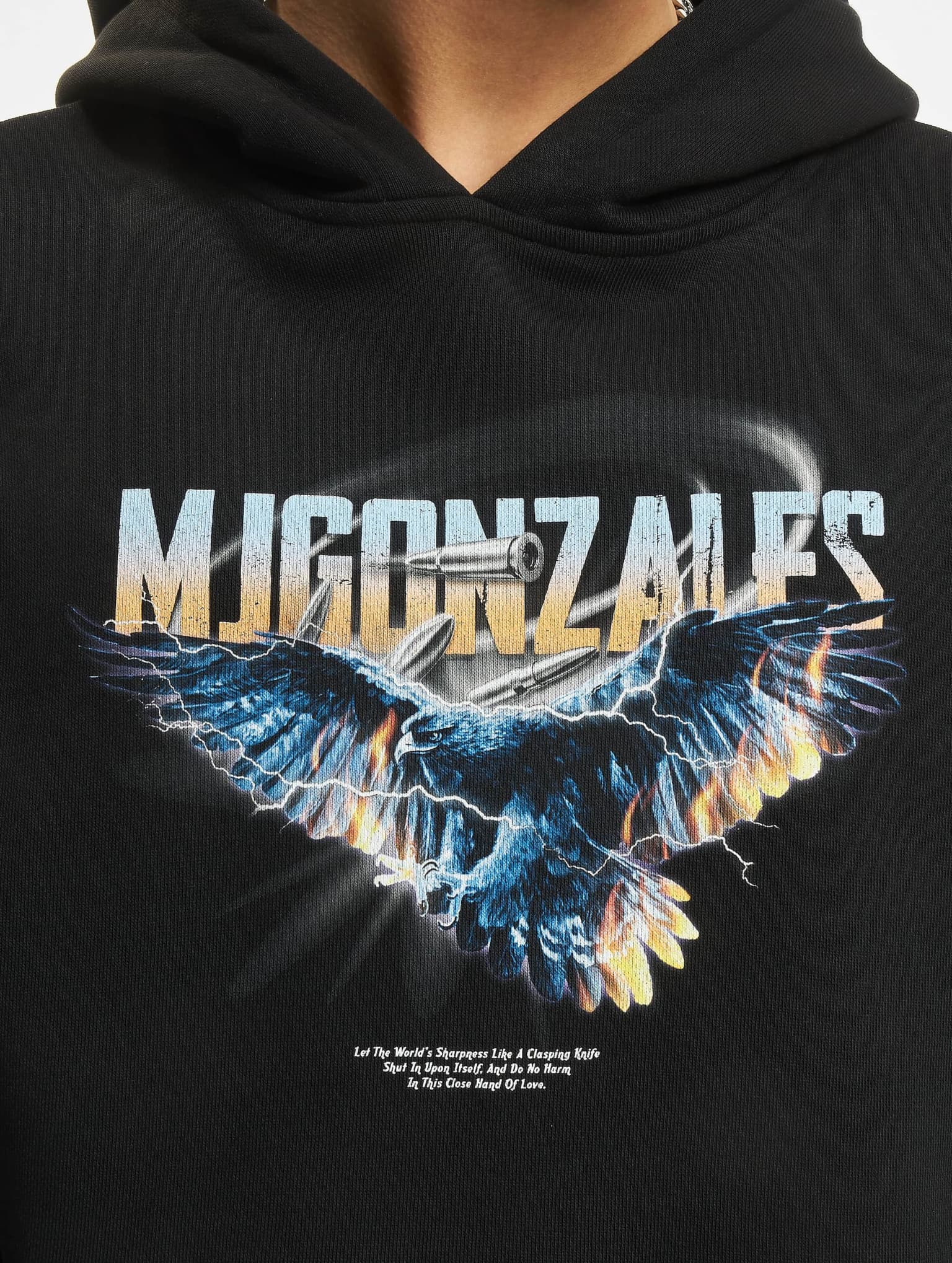 MJ Gonzales EAGLE V.2 Heavy Hoody Oversized Essentials V.4 – Bild 4