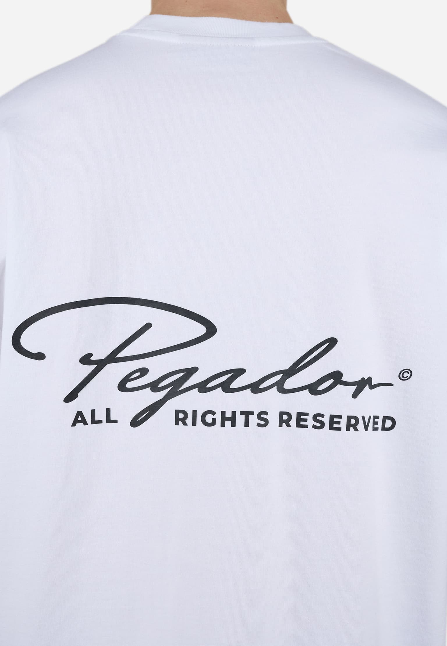 PEGADOR Pike Oversized Tee – Bild 4