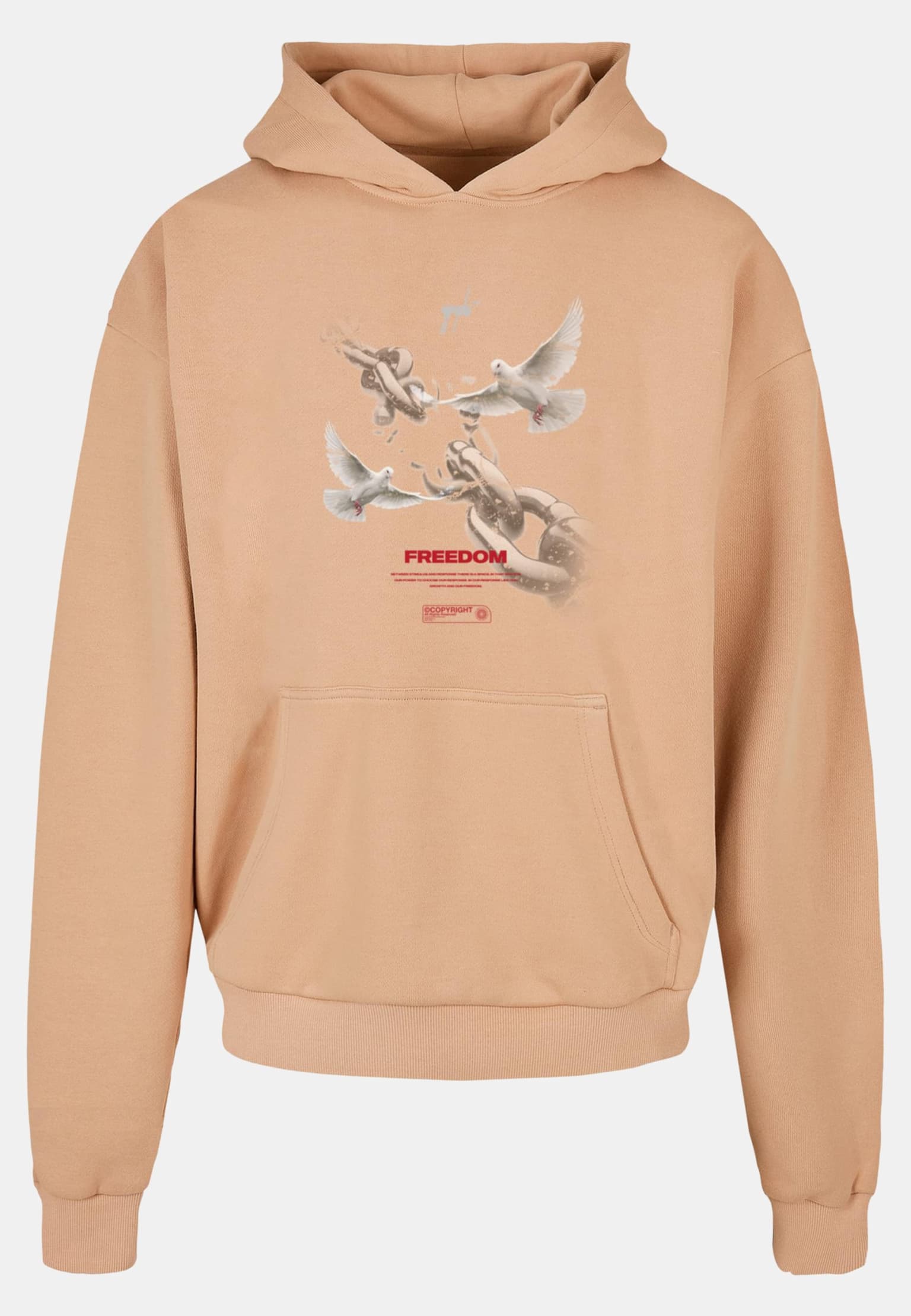 MJ Gonzales Ladies Freedom x Heavy Oversized Hoody – Bild 3
