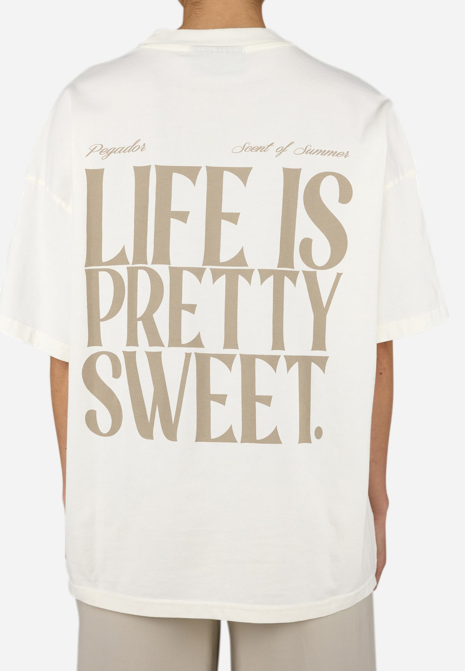 PEGADOR Tinca Heavy Oversized Tee – Bild 4