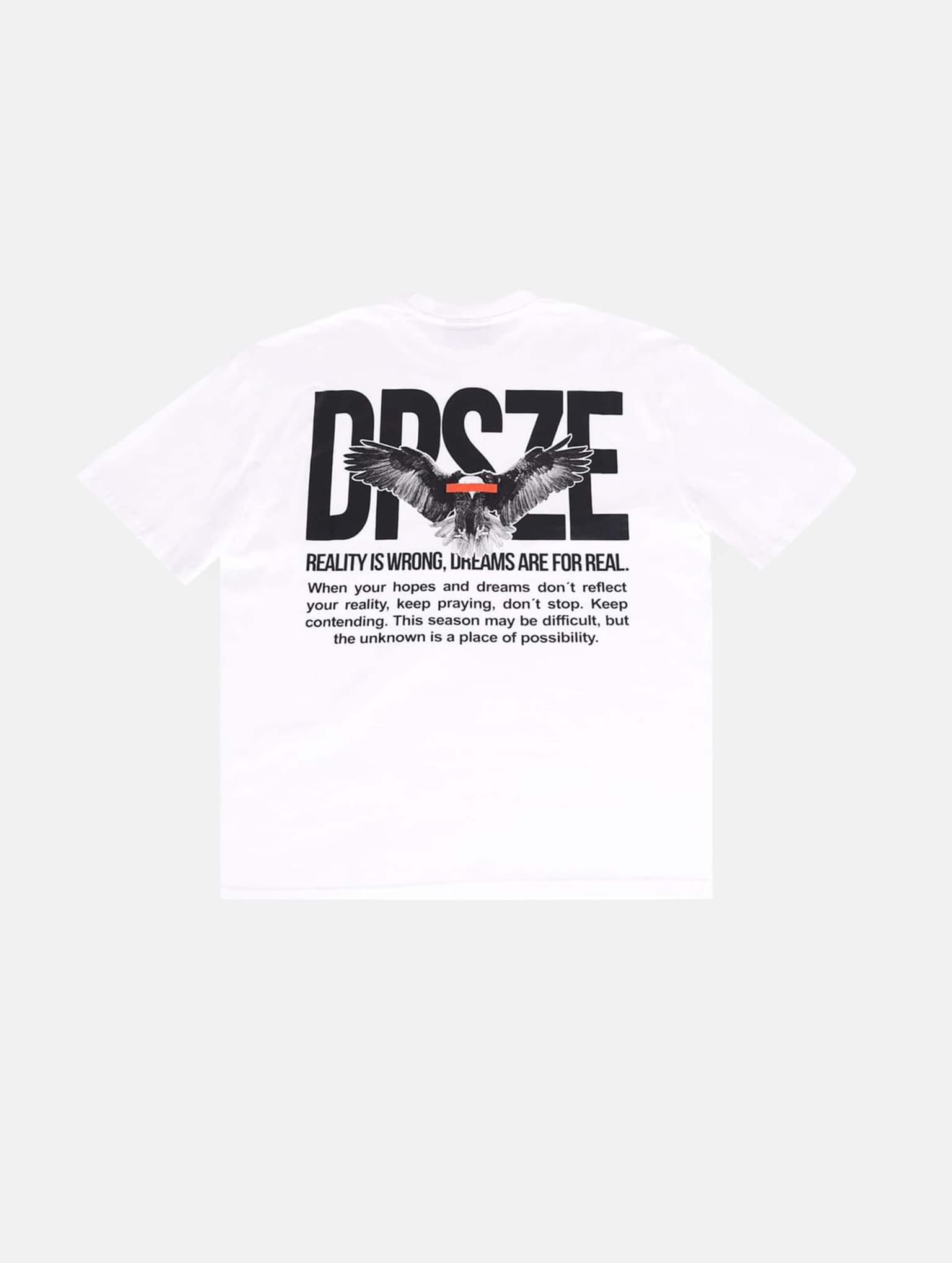 Dropsize HEAVY OVERSIZE DPSZE EAGLE T-SHIRT – Bild 2