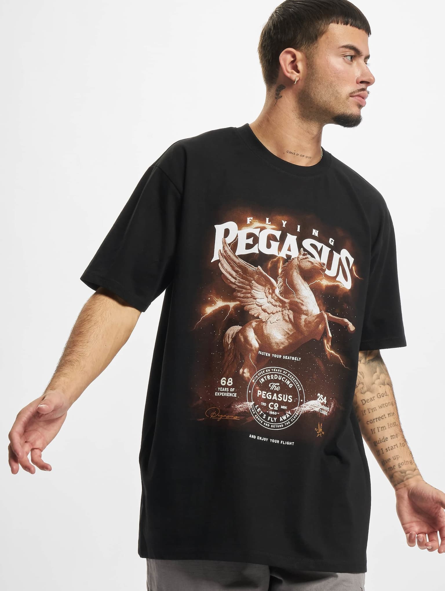 Mister Tee Upscale Pegasus Oversize