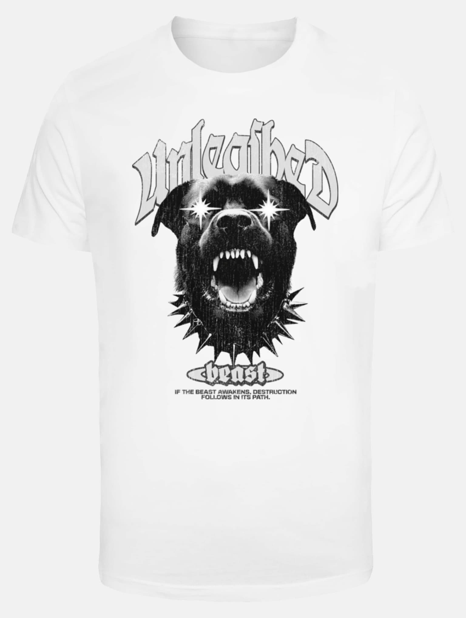 Mister Tee The Unleashed Beast – Bild 3