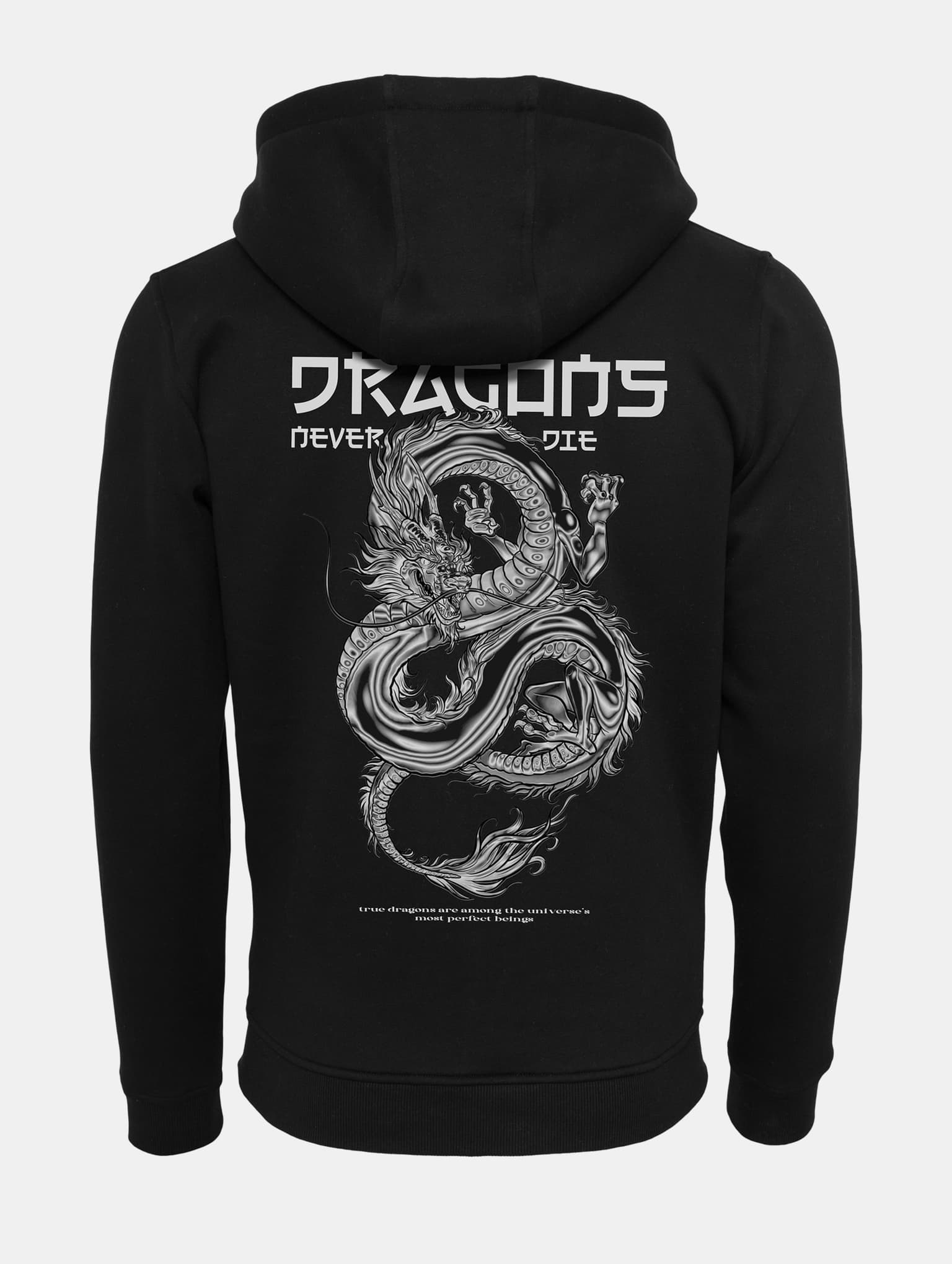 Mister Tee Dragons Never Die Heavy Zip Hoody – Bild 4