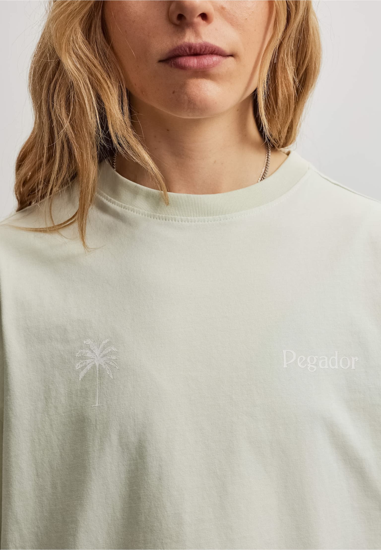 PEGADOR Zarasai Heavy Oversized Tee – Bild 3