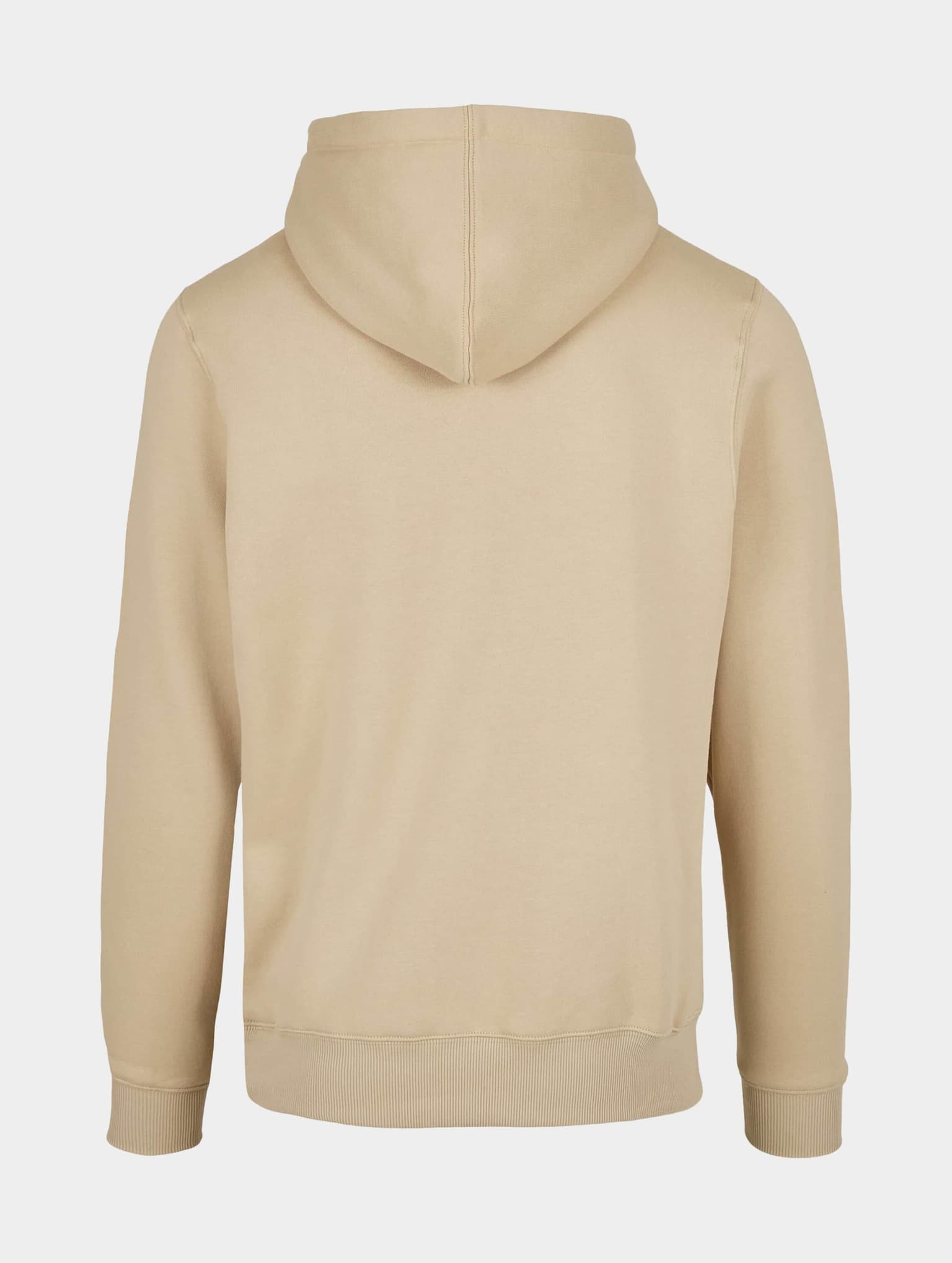 Cayler & Sons C&S Plain Hoody – Bild 4