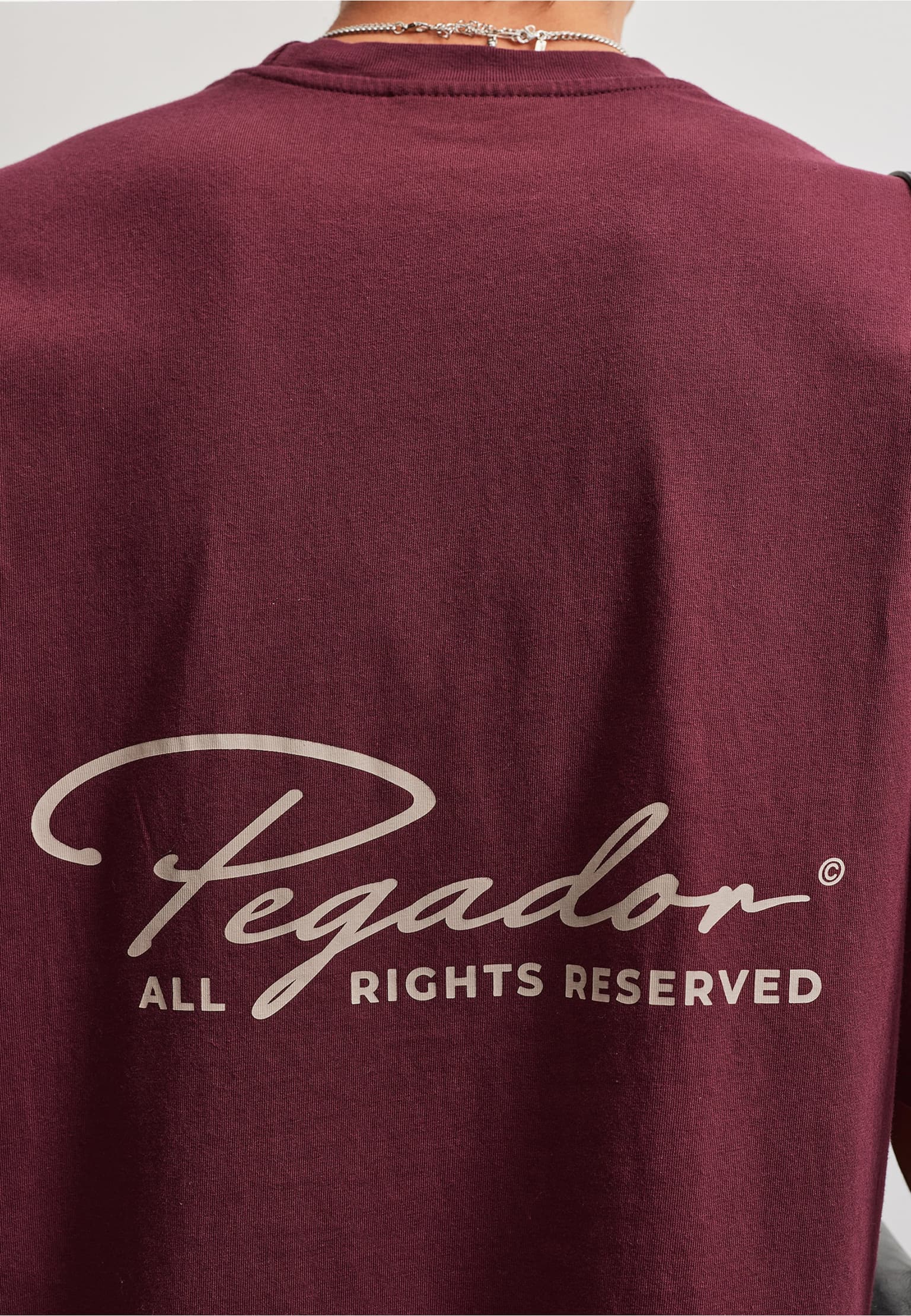 PEGADOR Pike Oversized Tee – Bild 4