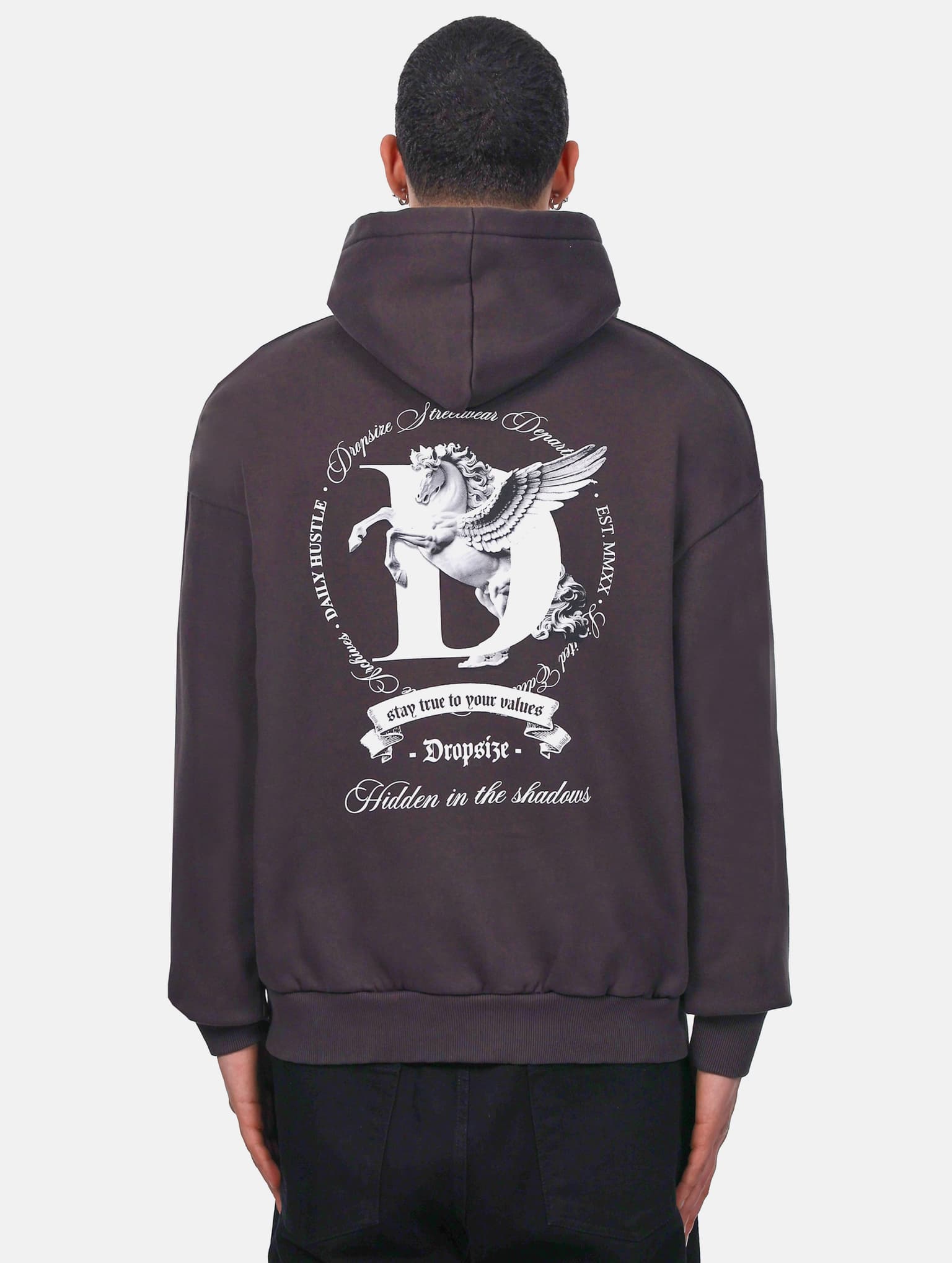 Dropsize HEAVY OVERSIZE PEGASUS HOODIE – Bild 2