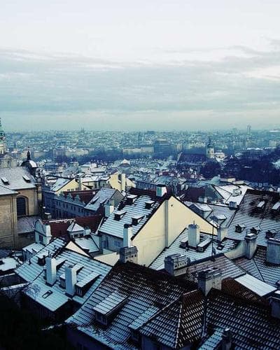 Winterjacke Gefüttert