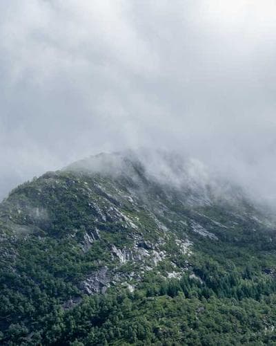 Poloshirt Premium Piqué