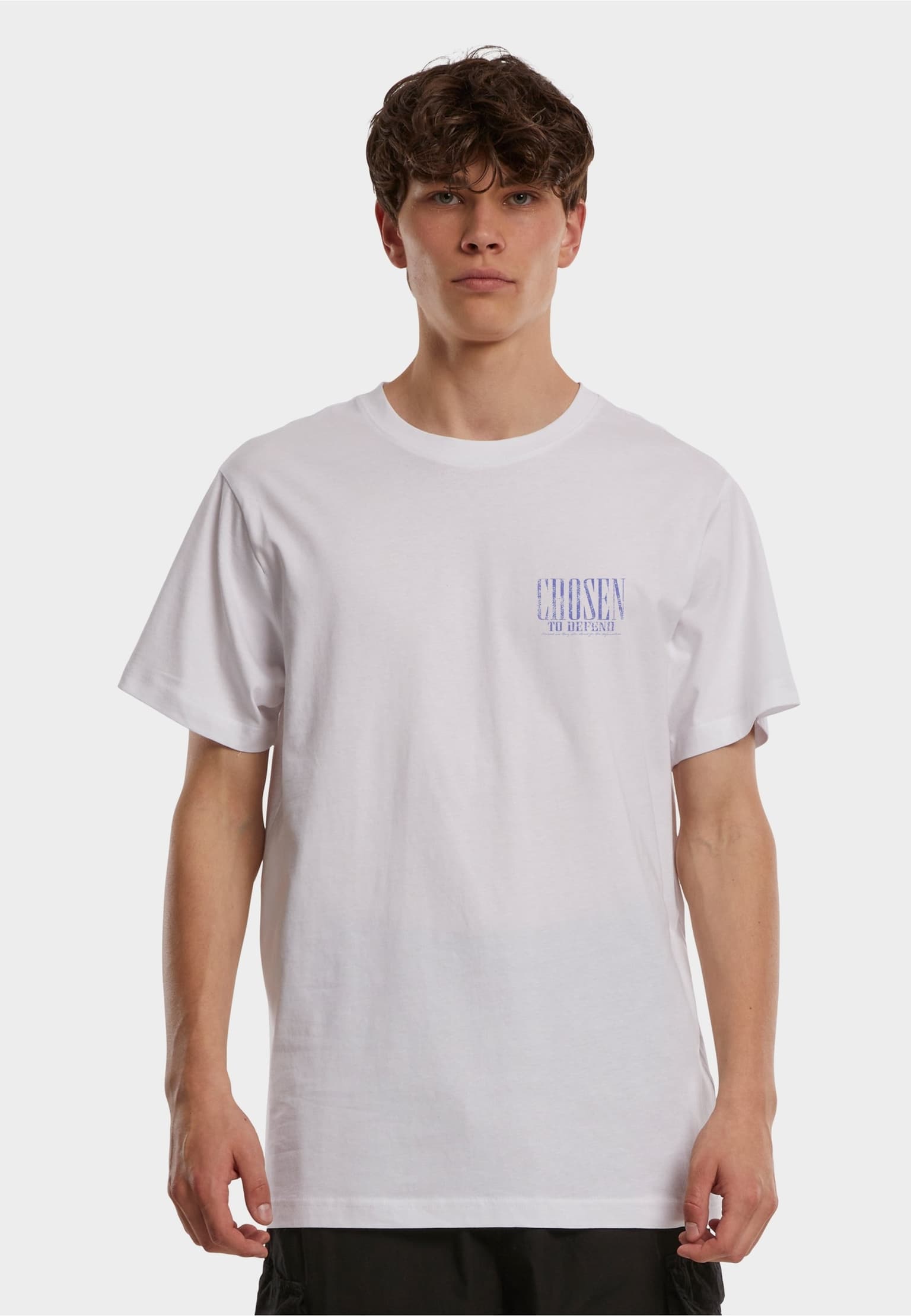 Mister Tee Chosen To Defend - same print and printsize as MT4084